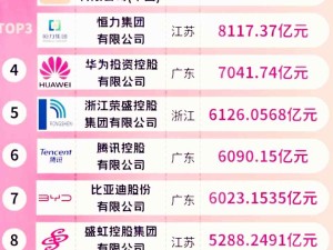 2024年最新中國十大民營企業營收數據 京東、阿里、恒力集團居前三名